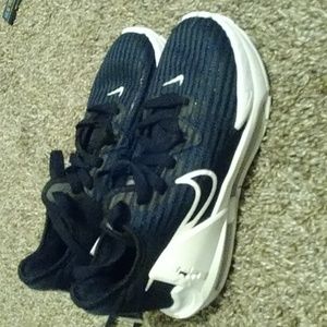 Nike Lebron Witness VI